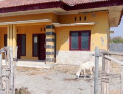 Tak Hanya Kosong, Polindes di Desa Panglegur Penuh Dengan Kotoran Kambing