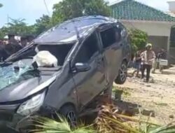 Laka Lantas Minibus Hantam Tiang Listrik dan Pohon Hingga Roboh