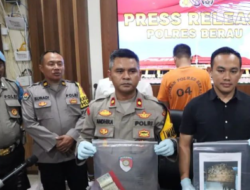 Polres Berau Berhasil Ungkap Kasus Ilegal Loging, 6 Kubik Kayu Diamankan