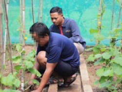 Warga Binaan Lapas Kediri diajarkan Budidaya Melon Sistem Green House