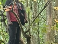 Gegara Depresi, SP Nekat Gantung Diri Di Lahan Pohon Jati Sampang