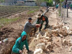 Babinsa Koramil 0826-06 Pademawu Gotong-royong Dalam Pembuatan Plengsengan di Desa Prekbun