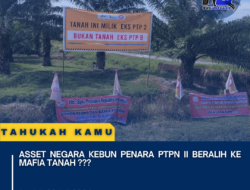 Asset Negara Kebun Penara PTPN II Beralih Ke Mafia Tanah ???
