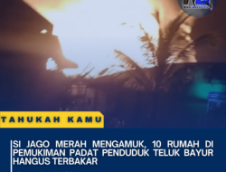 Si Jago Merah Mengamuk, 10 Rumah di Pemukiman Padat Penduduk Teluk Bayur Hangus Terbakar