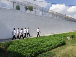 Lapas Pamekasan Komitmen Dukung Program ketahanan Pangan Dengan Kontrol Pertanian di Area Branghang Lapas