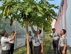 Lapas Narkotika Kelas IIA Pamekasan Kementerian Imigrasi Dan Pemasyarakatan Menggelar Kontrol Kebun Binaan Dalam 13 Program Akselerasi