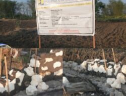 Proyek HIPPA P3-TGAI yang ada di Kecamatan Pengarengan ada unsur Mengais Keuntungan Lebih Banyak