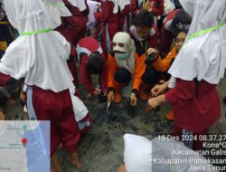 Untuk Mengurangi Efek Perubahan Iklim Ikatan Guru Indonesia dan Forum Pengurangan Risiko Bencana Melakukan Pembibitan Mangrove 