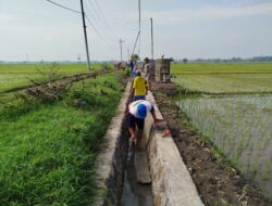 Desa Sogo Balerejo Bangun Irigasi Melalui Program Percepatan Peningkatan Tata Guna Air 2024