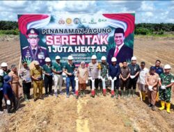 Penanaman Jagung Serentak 1 Juta Hektar di Gunung Tabur Wujudkan Ketahanan Pangan Nasional