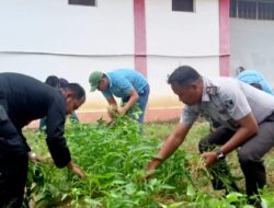 Bukan Sekadar Pembinaan, Lapas Narkotika Kelas IIA Pamekasan Jadi Pusat Produktivitas dengan Panen Kangkung