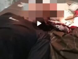 Viral Video Nelayan yang Tertusuk Moncong Ikan Marlin saat Menyelam di Laut