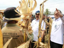 Kementerian Imigrasi dan Pemasyarakatan Direktur Jendral Pemasyarakatan Agus Andrianto Hadir Panen Perdana di Nusakambangan 