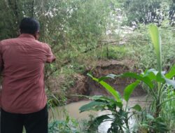 Warga Keluhkan Bau Menyengat Dari Kandang Sapi Di Desa Bajulan Saradan, Sudah Lebih Dari Dua Tahun