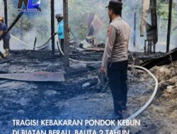 Tragis! Kebakaran Pondok Kebun di Biatan Berau, Balita 2 Tahun Meninggal Dunia
