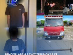 PENGGELAPAN SAWIT TERUNGKAP DI BERAU, DUA SOPIR DIAMANKAN POLISI