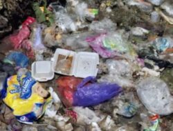 Sampang Digoyang Bau Busuk Tumpukan Sampah di Desa Omben Memprihatinkan