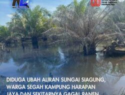 Diduga Ubah Aliran Sungai Siagung, Warga Segah Kampung Harapan Jaya dan Sekitarnya Gagal Panen Sawit