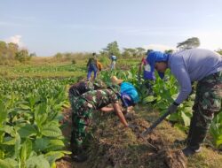 Pipanisasi TMMD Ke-125 Solusi Kekurangan Air Bersih di Desa Kramat