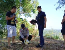 Kapolsek Sokobanah Gerebek Arena Judi Sabung Ayam, Penjudi Kabur Tinggalkan Barang Bukti