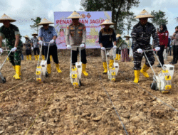 Dari Debu Jadi Pangan: Polres Kutim dan KPC Sulap Lahan Bekas Tambang Jadi Ladang Jagung