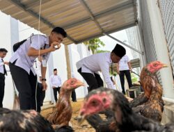 Lapas Narkotika Pamekasan Kembangkan Peternakan Ayam Kampung untuk Kemandirian Warga Binaan