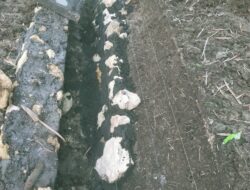 Kecaman Warga Krampon, Proyek Saluran di Tokotoh Dituding Asal-Asalan, Jalan Poros Rusak Tak Terperbaiki