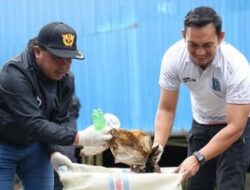 Peringati Hari Pahlawan, WCD Bontang Gelar Gerakan Pungut Sampah
