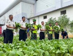 Kemandirian Warga Binaan Lapas Narkotika Pamekasan, Panen Raya Sawi dan Lele Jadi Bukti Dukung Ketahanan Pangan 