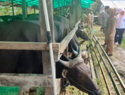 Pastikan Keamanan Masyarakat, Kualitas Hewan Kurban Harus Diawasi 