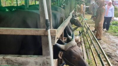 Pastikan Keamanan Masyarakat, Kualitas Hewan Kurban Harus Diawasi 