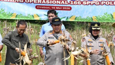 Polresta Cirebon Ikuti Panen Raya Jagung Serentak, Dukung Swasembada Pangan Nasional