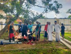 Bupati Sampang Sembelih 2 Sapi Limosin dan 5 Kambing Kurban, Ribuan Warga Padati Pendopo Sambut Idul Adha 1447 H