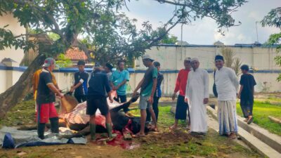 Bupati Sampang Sembelih 2 Sapi Limosin dan 5 Kambing Kurban, Ribuan Warga Padati Pendopo Sambut Idul Adha 1447 H