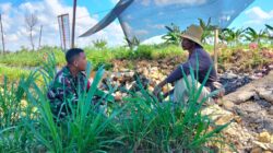 Dari Dusun Utara Prekbun, Babinsa Koramil 0826-06 Pademawu Gaungkan 2 Pesan: Selamat Bekerja, Tanam untuk Masa Depan