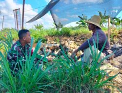 Dari Dusun Utara Prekbun, Babinsa Koramil 0826-06 Pademawu Gaungkan 2 Pesan: Selamat Bekerja, Tanam untuk Masa Depan