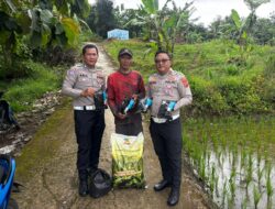 Dalam rangka mendukung Program Swasembada Pangan Nasional, Satlantas Polres Kuningan melaksanakan kegiatan pemberian bantuan bibit jagung kepada Kelompok Tani Desa Cibulan, Kecamatan Cidahu, Kabupaten Kuningan. Kegiatan ini merupakan wujud kepedulian dan dukungan Polri terhadap peningkatan ketahanan pangan serta kesejahteraan masyarakat, khususnya para petani di wilayah Kabupaten Kuningan.