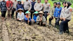 SAT LANTAS POLRES KUNINGAN BERSAMA KELOMPOK TANI DESA CIBULAN OLAH LAHAN UNTUK PROGRAM KETAHANAN PANGAN 2026