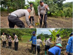 Wujud Nyata Polri Peduli Petani, Sat Lantas Polres Kuningan Sukseskan Program Ketahanan Pangan