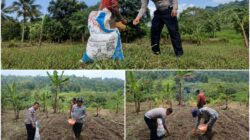 Sinergi untuk Ketahanan Pangan, Satlantas Polres Kuningan Turun Langsung ke Sawah Bantu Petani Desa Cibulan