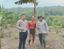 Sinergi Satlantas Polres Kuningan dan Dinas Pertanian Pantau Pertumbuhan Jagung di Desa Cibulan