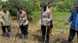 Satlantas Polres Kuningan Bersinergi dengan Dinas Pertanian Pantau Ketahanan Pangan di Desa Cibulan