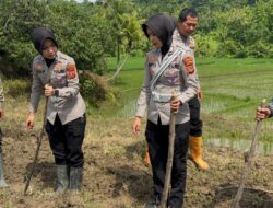 Satlantas Polres Kuningan Bersinergi dengan Dinas Pertanian Pantau Ketahanan Pangan di Desa Cibulan