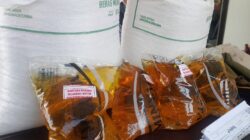 Miris, Penyaluran Beras 20 Kg dan Minyak Goreng 4 Liter di Kelurahan Kenanga-Sumber Diduga Ladang Pungli Oknum Ketua RT