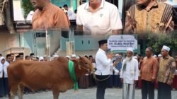 Bentuk Takzim dan Duka, Bun Wid Serahkan Sapi Untuk Keluarga Almarhum KH. Aluddin Abdul Bari