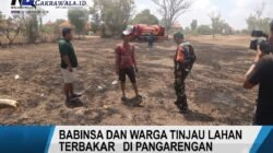 Kebakaran Hanguskan 0,5 Hektar Lahan di Pangerangan, Damkar dan Warga Bahu Membahu Padamkan Api