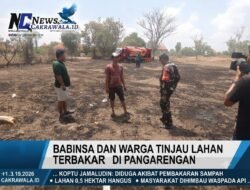 Kebakaran Hanguskan 0,5 Hektar Lahan di Pangerangan, Damkar dan Warga Bahu Membahu Padamkan Api