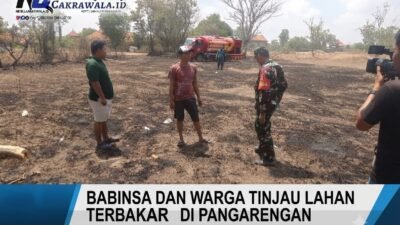 Kebakaran Hanguskan 0,5 Hektar Lahan di Pangerangan, Damkar dan Warga Bahu Membahu Padamkan Api