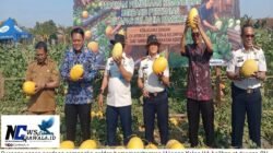 Petik Perdana di Lapas Pamekasan, Pembinaan Berbasis Pertanian Mulai Berbuah Manis