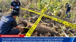 Polresta Sumenep Sita Bukti Penebangan Liar, Kasus Dugaan Perusakan Lahan Masuki Fase Krusial